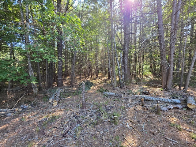 36 S Rd, Lee, ME 04455 - photo 15