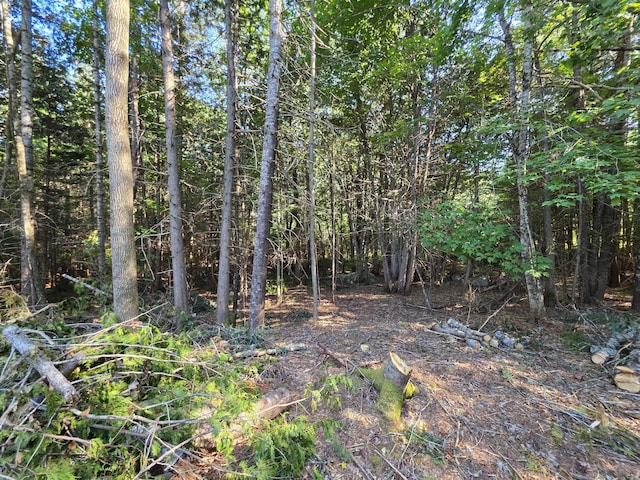 36 S Rd, Lee, ME 04455 - photo 16