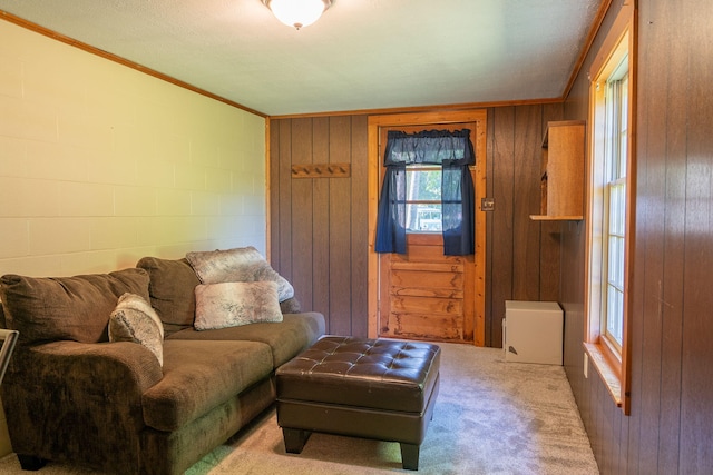 411 Walnut Hill Rd, North Yarmouth, ME 04097 - photo 49