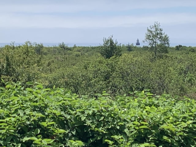 18 S St, Lubec, ME 04652 - photo 46
