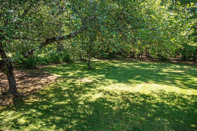 107 Finn Parker Rd, Gorham, ME 04038 - photo 92