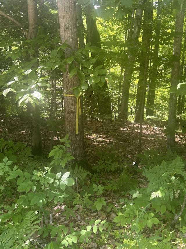 018 Canton Mtn Rd, Jay, ME 04239 - photo 2
