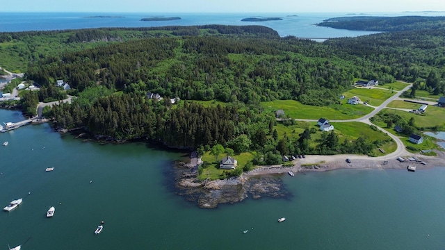24 Finn Beach Rd, Machiasport, ME 04655 - photo 48