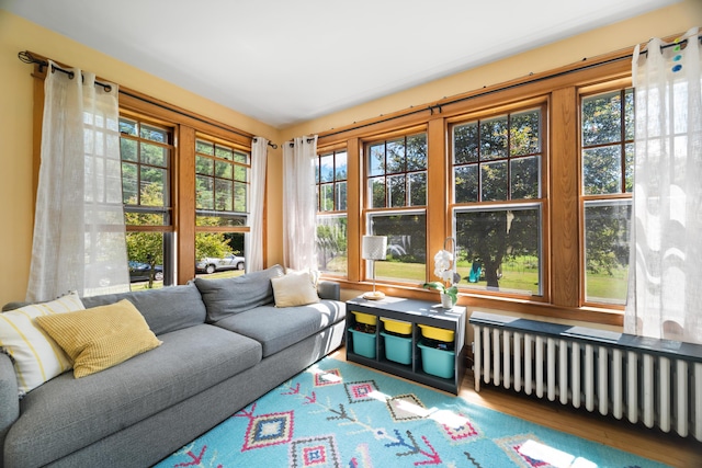 7 Spencer St, Orono, ME 04473 - photo 28
