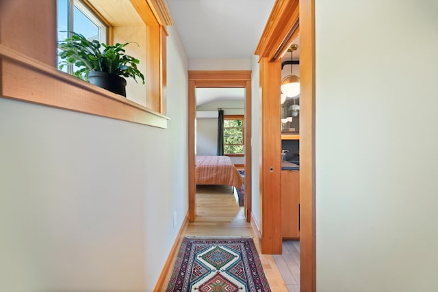 7 Spencer St, Orono, ME 04473 - photo 38