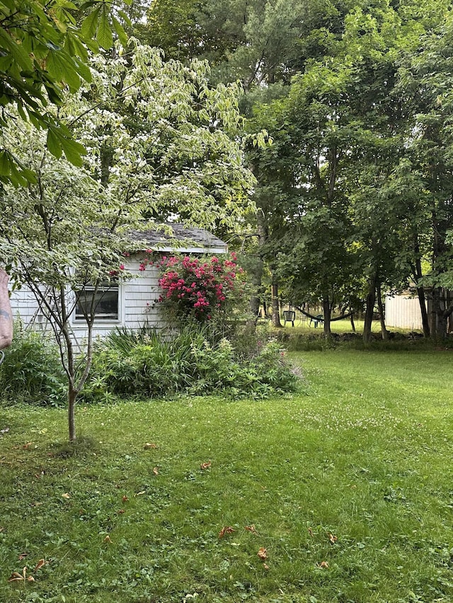 33 Cener St, Machias, ME 04654 - photo 4