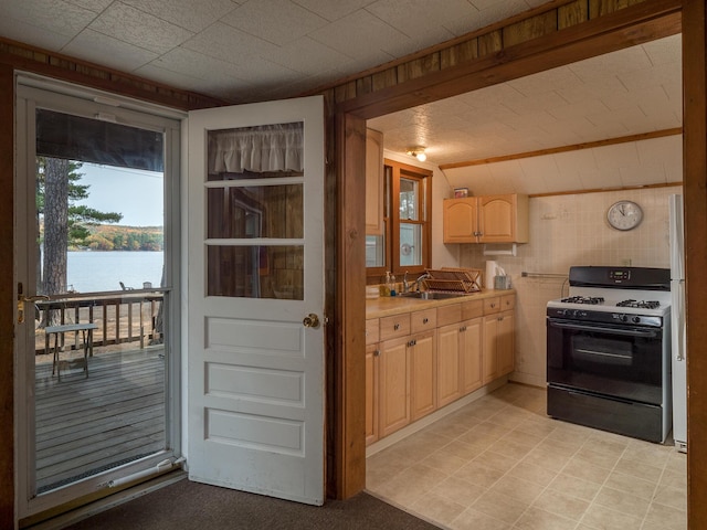 51 Butterworth Dr, Naples, ME 04055 - photo 38
