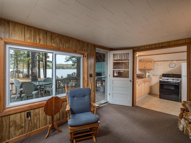 51 Butterworth Dr, Naples, ME 04055 - photo 37