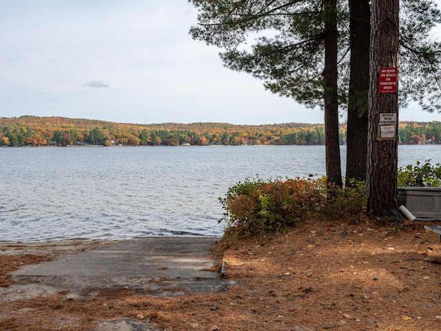 51 Butterworth Dr, Naples, ME 04055 - photo 68