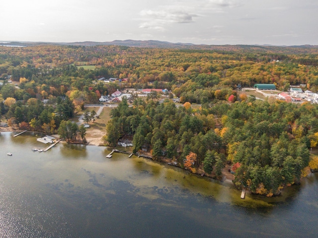 51 Butterworth Dr, Naples, ME 04055 - photo 73