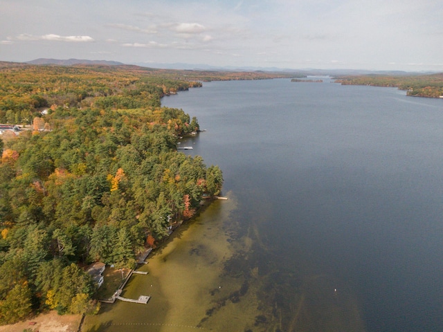 51 Butterworth Dr, Naples, ME 04055 - photo 74