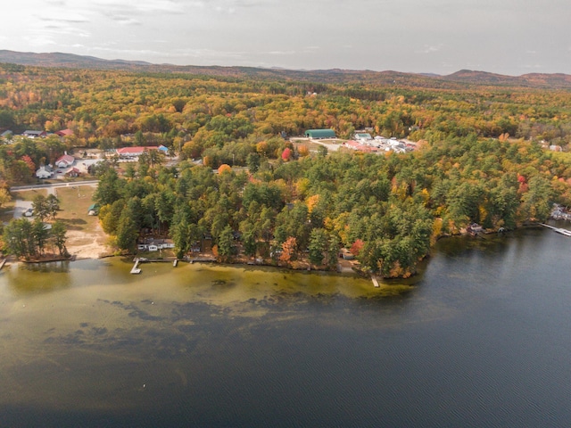 51 Butterworth Dr, Naples, ME 04055 - photo 75