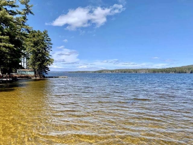 51 Butterworth Dr, Naples, ME 04055 - photo 85