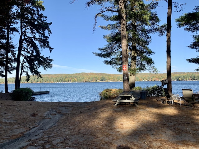 51 Butterworth Dr, Naples, ME 04055 - photo 98