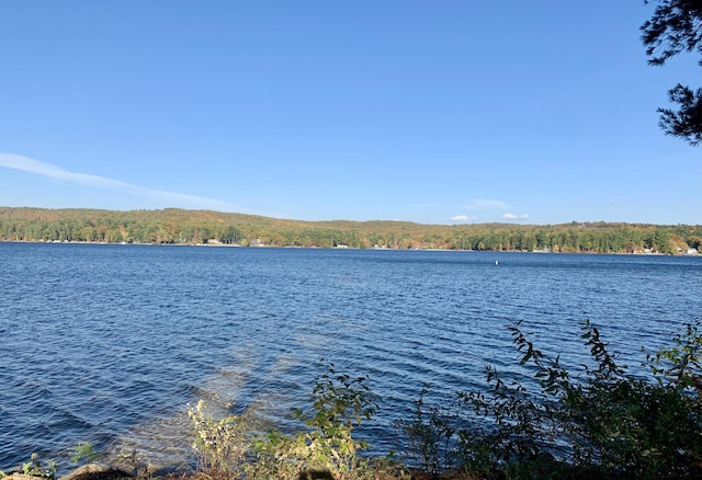 51 Butterworth Dr, Naples, ME 04055 - photo 100
