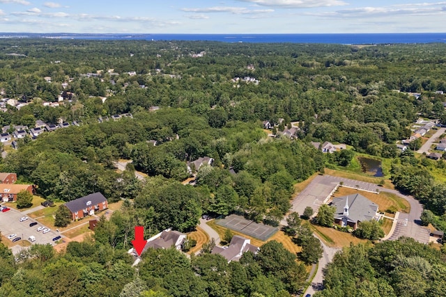 15 Carriage Way Unit 15, Saco, ME 04072 - photo 10