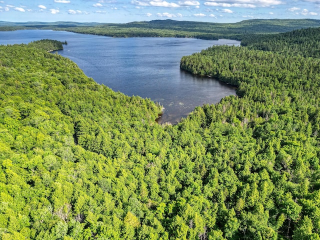 LOT39 Tims Cove Rd, Willimantic, ME 04443 - photo 1