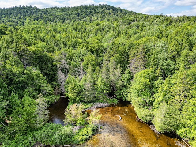 LOT39 Tims Cove Rd, Willimantic, ME 04443 - photo 2