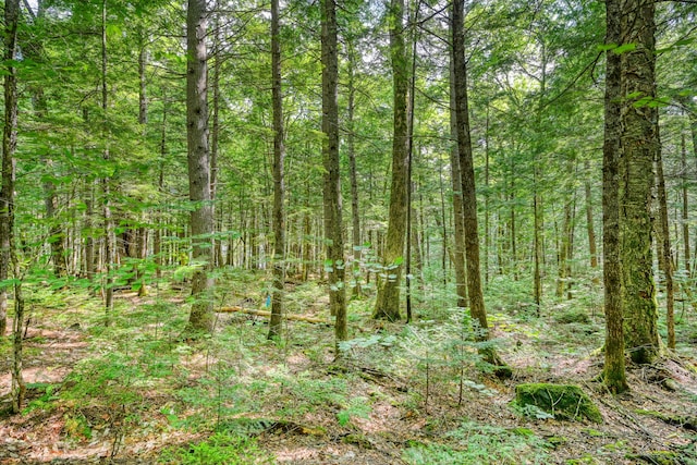 LOT39 Tims Cove Rd, Willimantic, ME 04443 - photo 3