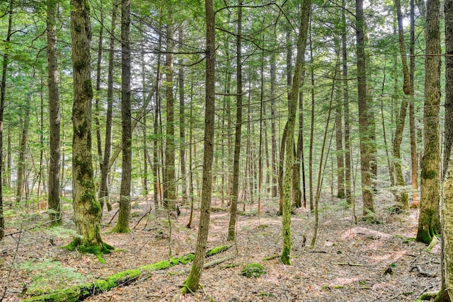 LOT39 Tims Cove Rd, Willimantic, ME 04443 - photo 4
