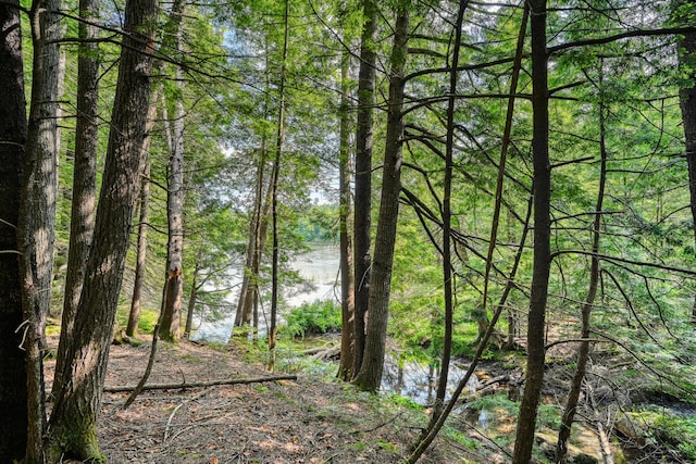 LOT39 Tims Cove Rd, Willimantic, ME 04443 - photo 5