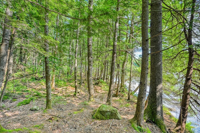 LOT39 Tims Cove Rd, Willimantic, ME 04443 - photo 6