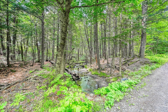 LOT39 Tims Cove Rd, Willimantic, ME 04443 - photo 7