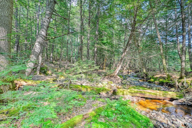 LOT39 Tims Cove Rd, Willimantic, ME 04443 - photo 8