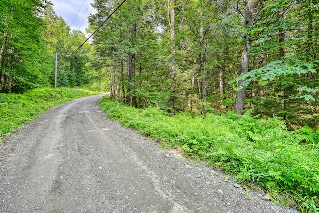 LOT39 Tims Cove Rd, Willimantic, ME 04443 - photo 9