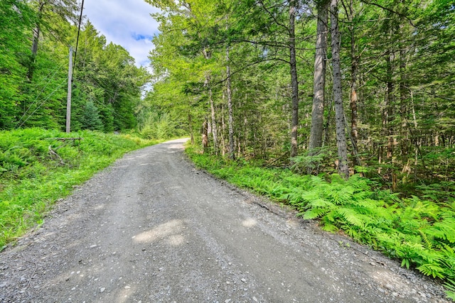 LOT39 Tims Cove Rd, Willimantic, ME 04443 - photo 10