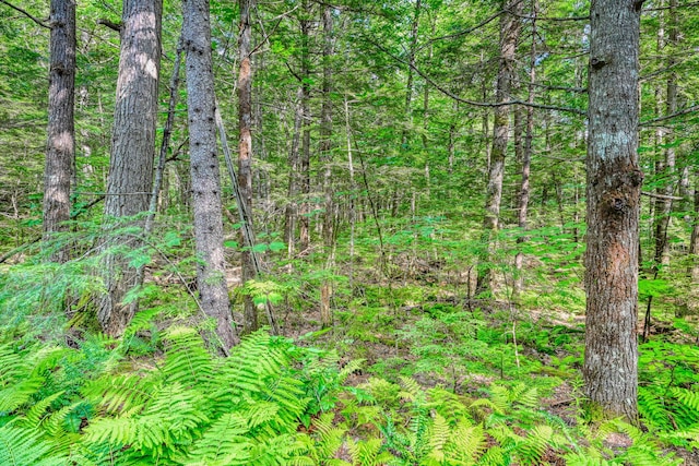 LOT39 Tims Cove Rd, Willimantic, ME 04443 - photo 11