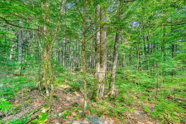 LOT39 Tims Cove Rd, Willimantic, ME 04443 - photo 14