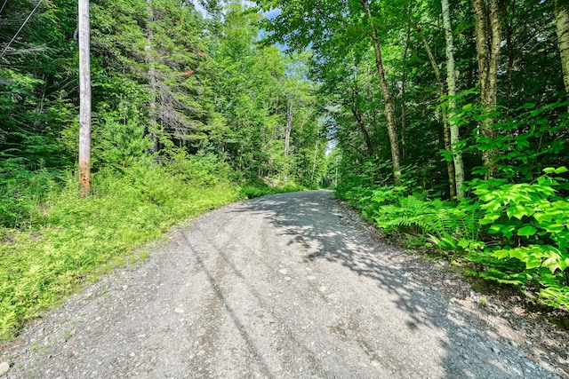 LOT39 Tims Cove Rd, Willimantic, ME 04443 - photo 15