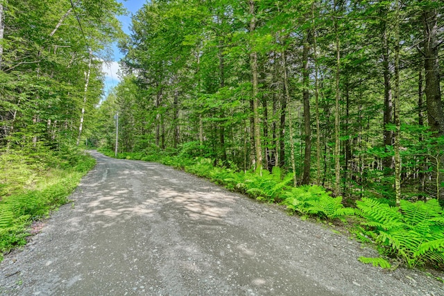 LOT39 Tims Cove Rd, Willimantic, ME 04443 - photo 16