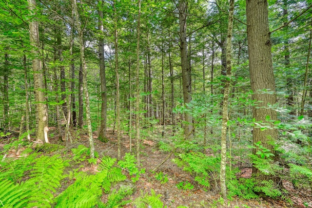LOT39 Tims Cove Rd, Willimantic, ME 04443 - photo 17
