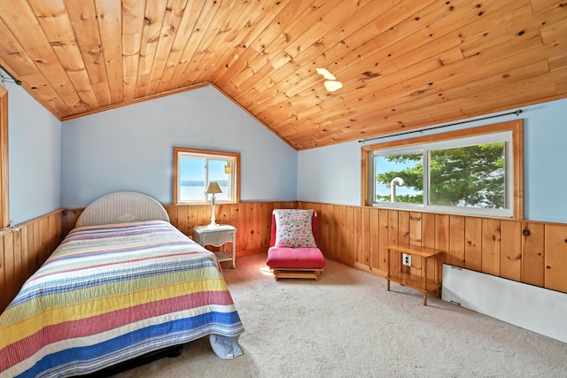 70 Walnut Ln, Belgrade, ME 04917 - photo 38