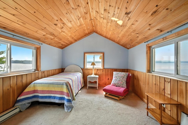 70 Walnut Ln, Belgrade, ME 04917 - photo 39