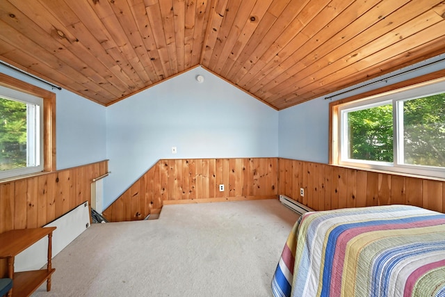 70 Walnut Ln, Belgrade, ME 04917 - photo 40