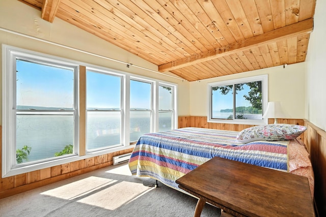 70 Walnut Ln, Belgrade, ME 04917 - photo 33