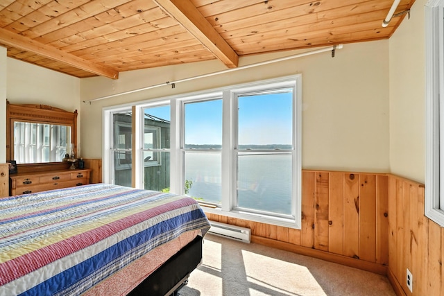 70 Walnut Ln, Belgrade, ME 04917 - photo 35