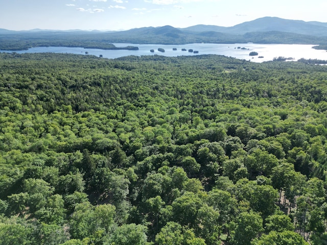 LOT11B-1 Blair Hill Rd, Greenville, ME 04441 - photo 1