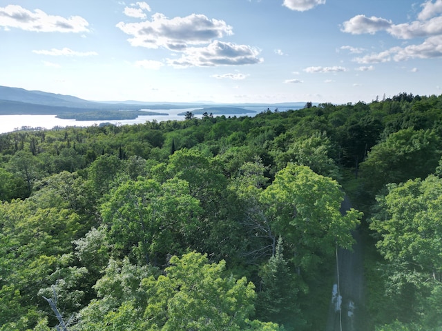 LOT11B-1 Blair Hill Rd, Greenville, ME 04441 - photo 3