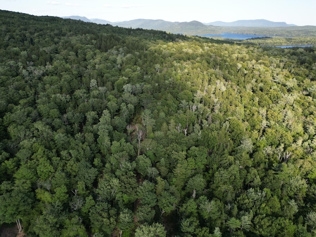 LOT11B-1 Blair Hill Rd, Greenville, ME 04441 - photo 5