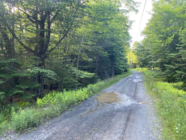 LOT11B-1 Blair Hill Rd, Greenville, ME 04441 - photo 12