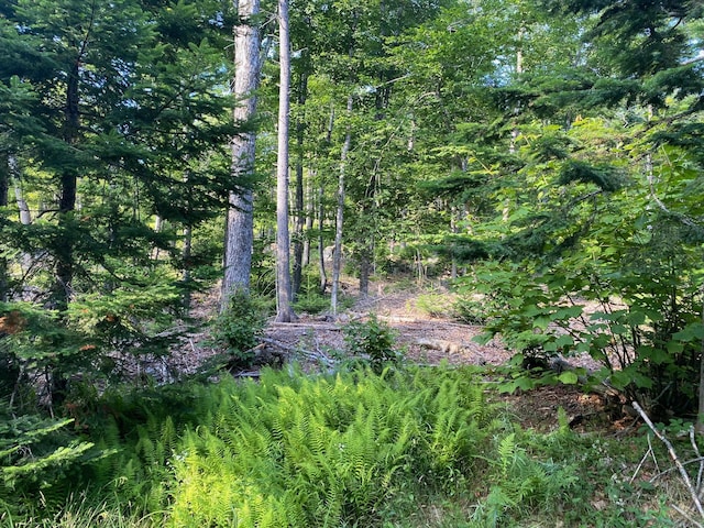 LOT11B-1 Blair Hill Rd, Greenville, ME 04441 - photo 14