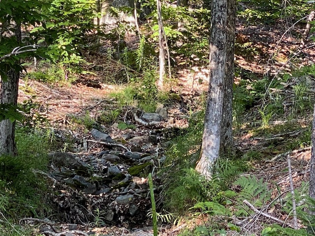 LOT11B-1 Blair Hill Rd, Greenville, ME 04441 - photo 15