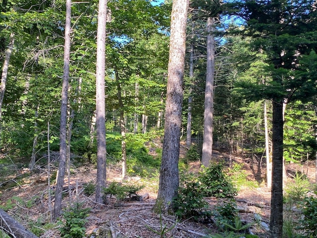 LOT11B-1 Blair Hill Rd, Greenville, ME 04441 - photo 10