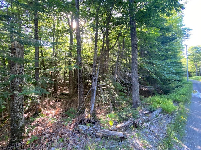 LOT11B-1 Blair Hill Rd, Greenville, ME 04441 - photo 24