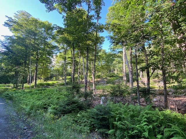 LOT11B-1 Blair Hill Rd, Greenville, ME 04441 - photo 8