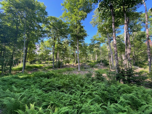 LOT11B-1 Blair Hill Rd, Greenville, ME 04441 - photo 13
